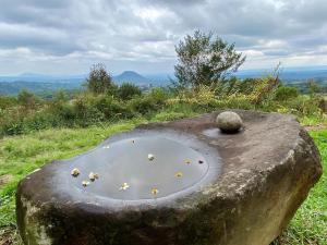 Escápate a un bosque mágico Citlalapa