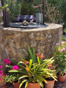 YourHouse Son Morey villa