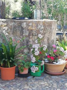 YourHouse Son Morey villa