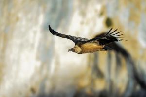 Maisons de vacances Locations LAC VERDON Climatisation : photos des chambres