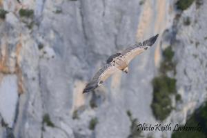 Maisons de vacances Locations LAC VERDON Climatisation : photos des chambres