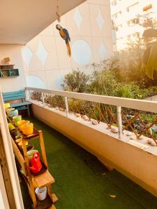 Appartements Chez Florence et Pierre, calme, confort et lumiere : photos des chambres