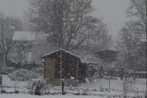 Idyllic Tiny House Rental on a Peaceful Farm in Middle Tennessee - Silver Point