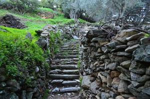 Andros Maisonettes Andros Greece