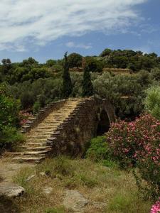 Andros Maisonettes Andros Greece