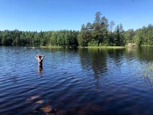 Remote Lakeside Bell Tent with Outdoor Sauna in Finland