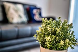 One-bedroom ground floor apartment in Birmingham with parking