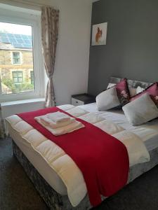 Contemporary and Spacious Home