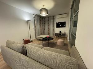 Appartements T3 terrasse-parking Groupama Stadium LDLCArena : photos des chambres