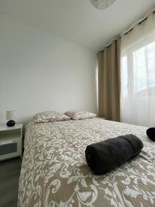 Appartements Superbe T2 a 15 min de Lyon : Appartement 1 Chambre