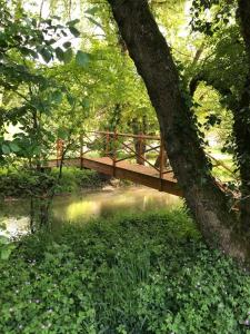 Maisons de vacances Gite du Moulin Lasnier, 3 etoiles, close to Beauval and Chateaux : photos des chambres