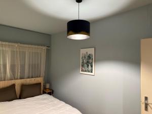 Un cocon cosy en plein Lausanne