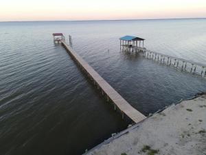 Dolphin Watch for Lasting Memories