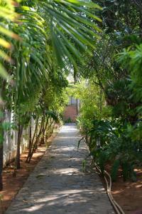 Coco Presidential Villa & Homestay