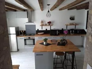 Typical Berry house la Gagere - Morogues