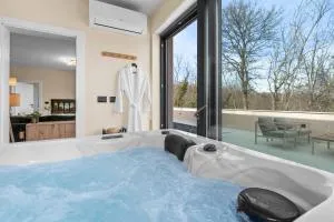 Charming Villa Harmonia with Heated pool and Indoor Jacuzzi surrounded by nature - Benažići