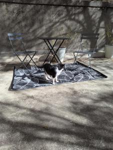 Cœur Bastide Saint Louis