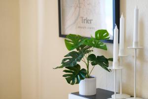 MARX City-Studio-Apartment Trier Zentrum - für Geschäftsreisende und Paare