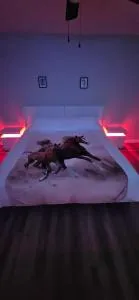 Sunny Seascapes - Belleview