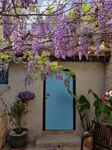 Kalimera A Lovely 1-bedroom rental with ensuite and Kitchen - Muttayaka