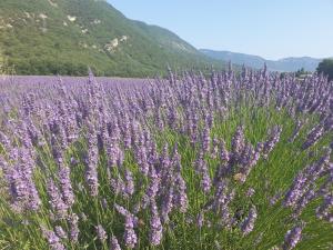 Gîte de la Tour Carrée