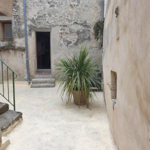 Maisons de vacances Gite de la Tour Carree : photos des chambres