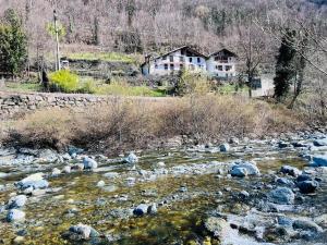 I cinque viaggiatori