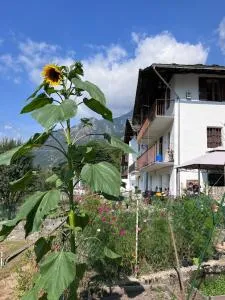 I cinque viaggiatori - Ceres