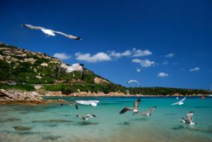 Bed & Breakfast Mare Isole img12