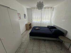 Appartements T4 spacieux renove parking - Stade-Arena-Eurexpo : photos des chambres