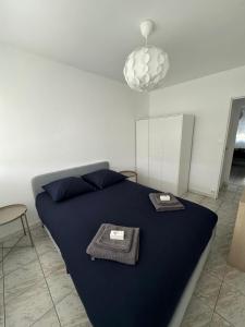 Appartements T4 spacieux renove parking - Stade-Arena-Eurexpo : photos des chambres