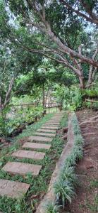 Escape Boutique Hotel