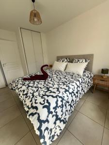 Appartements Charmant T2 renove avec balcon, proche plage et commerces : photos des chambres