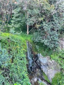 Piccola meraviglia ad Arenzano