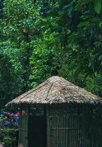 Aruvi Homestay idukki - Thodupuzha