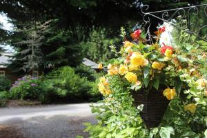 Grand Fir Lodge - The Hollies Retreats