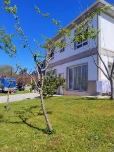 Calm Stay - Picaraña