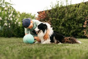 Viesu nams Kāpsargi