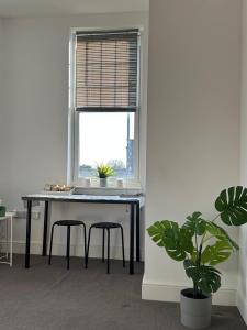 XUE apartment to let