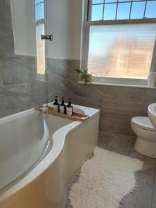 XUE apartment to let