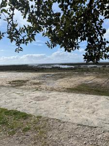 Appartements Charmant T2 renove avec balcon, proche plage et commerces : photos des chambres