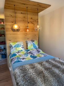 Le nid Douillet proche CERN, ONU, OMS, FIRMENICH, AEROPORT, ZIMEYSA