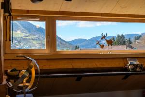 Appartements Sous le toit de Marie et Jean : photos des chambres