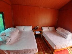 Little Tay Homestay & Hostel