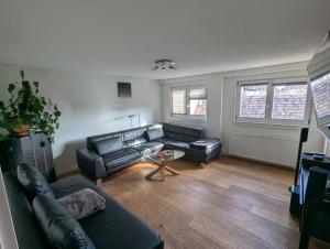 Rooftop-Apartment Citylage