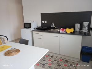 Hotels LE VILLAGE DU PARC : Studio Standard