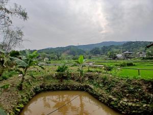 Little Tay Homestay & Hostel