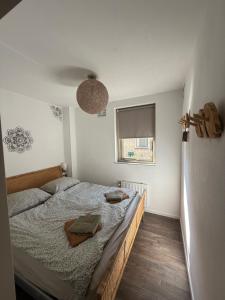 Wellness Huisje 52 Hottub