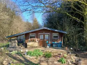 Les Céramiques du Pèlerin - Couvin