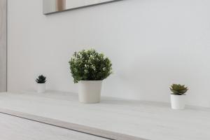 MUSIC HOME 15minCentral Station - LinateAirport - Metro